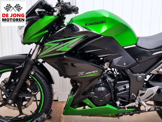 kawasaki - z-300-performance