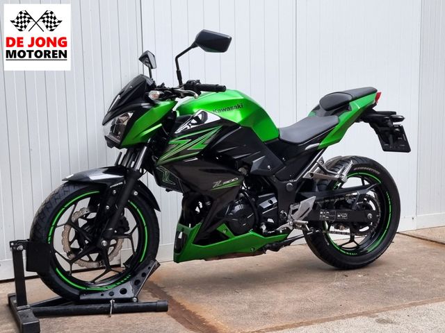 kawasaki - z-300-performance