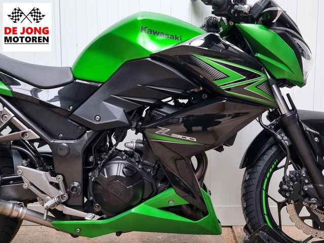 kawasaki - z-300-performance