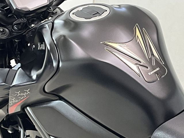 kawasaki - z900-performance