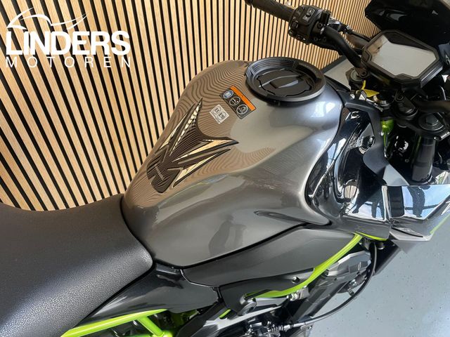 kawasaki - z900-performance