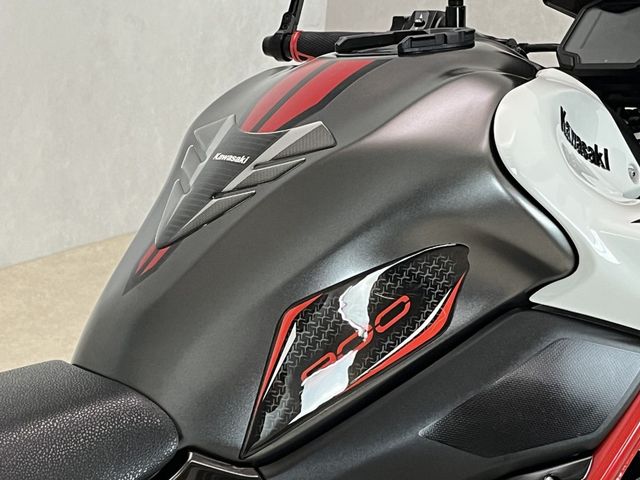 kawasaki - z900-performance