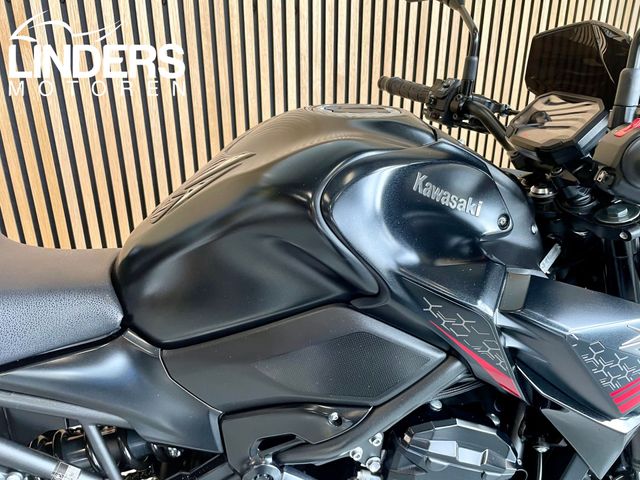 kawasaki - z900-performance
