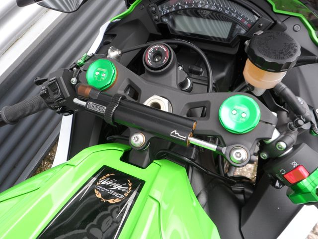 kawasaki - zx-10r-ninja