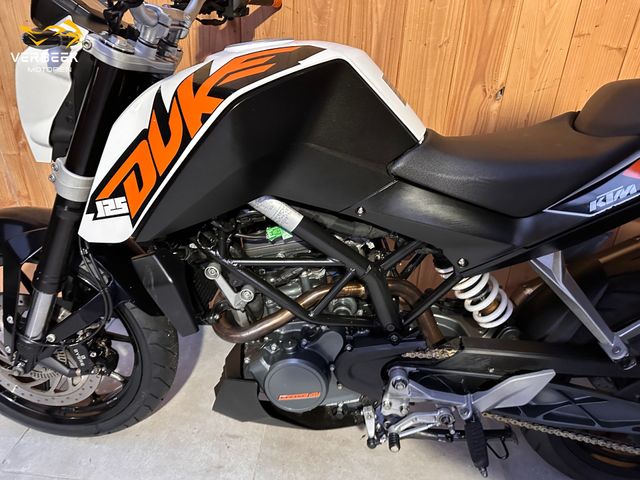 ktm - 125-duke