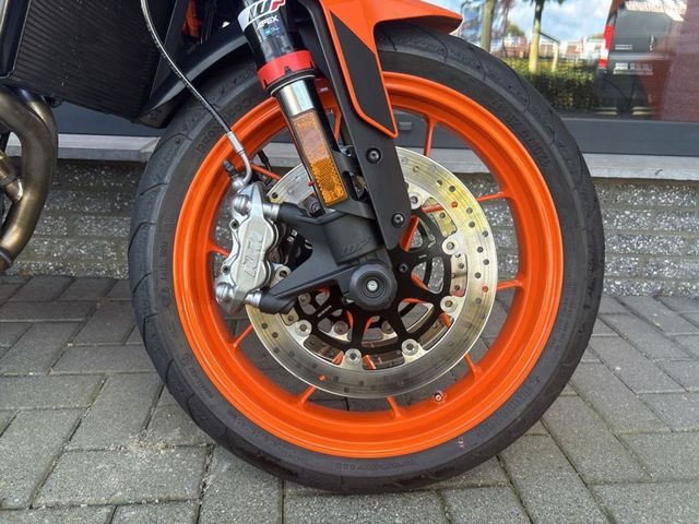 ktm - 890-duke-gp