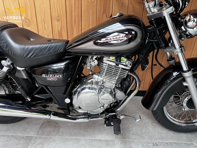 suzuki - gz-250-marauder