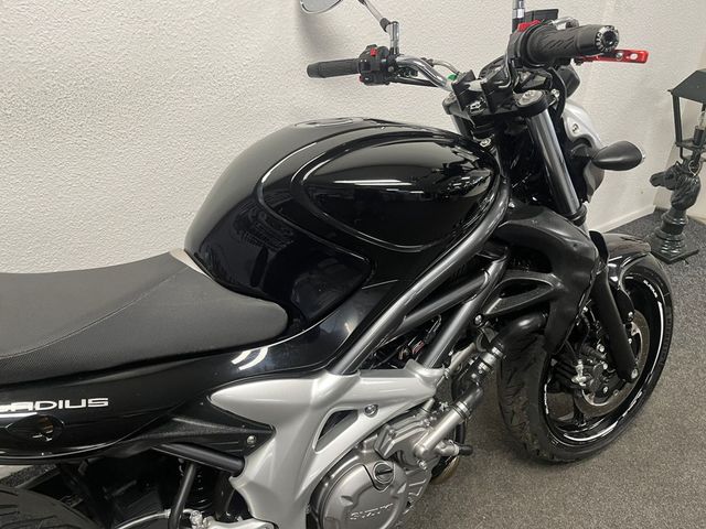 suzuki - sfv-650-gladius