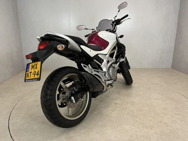 suzuki - sfv-650-gladius