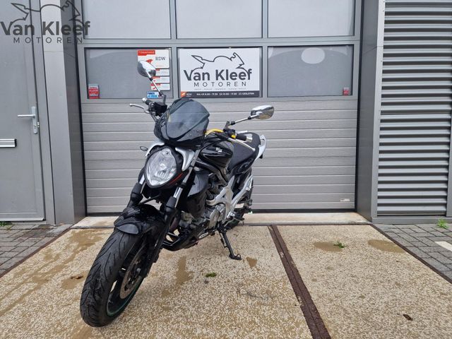 suzuki - sfv-650-gladius