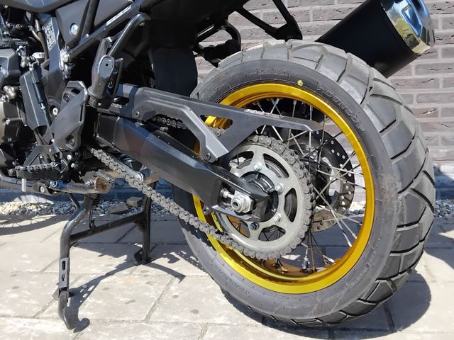 suzuki - v-strom-800