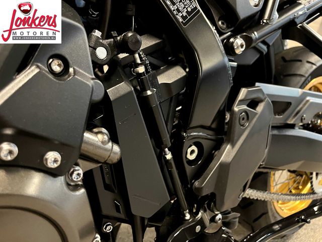 suzuki - v-strom-800-de