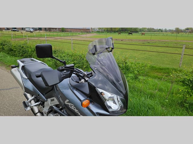 suzuki - v-strom-dl-1000