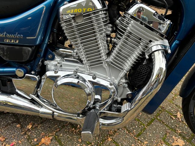 suzuki - vs-800-intruder