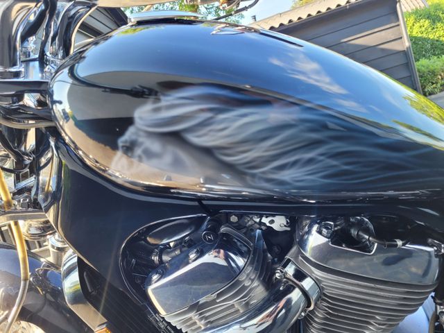 suzuki - vs-800-intruder