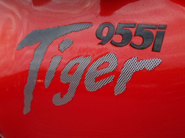 triumph - 955-i-tiger