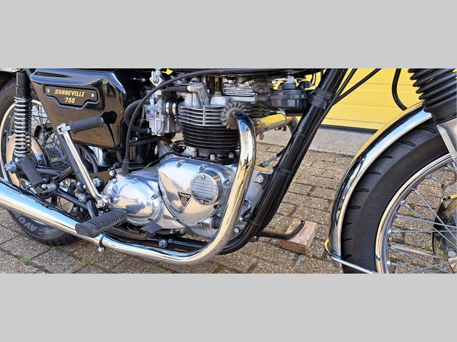 triumph - bonneville--t--140