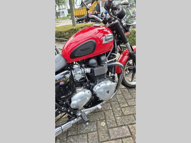 triumph - bonneville