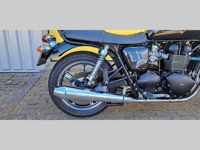 triumph - bonneville