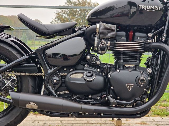 triumph - bonneville-bobber