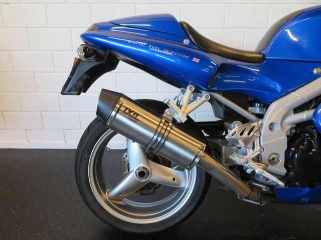 triumph - daytona-955i