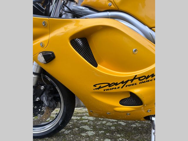 triumph - daytona-t--595