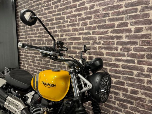 triumph - scrambler-900