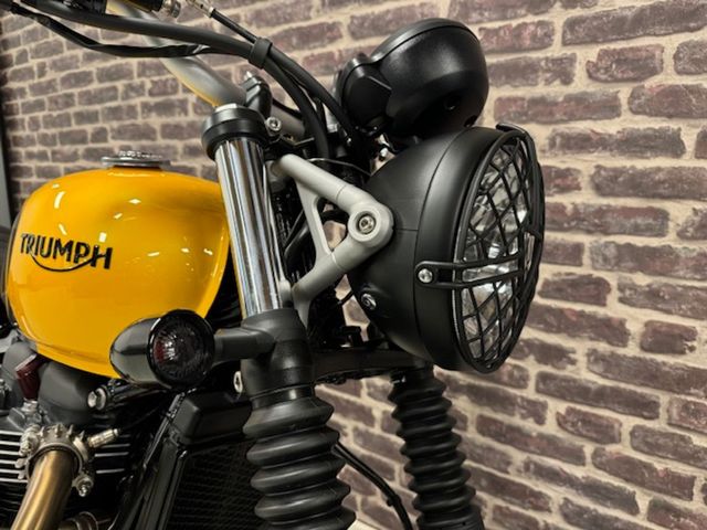 triumph - scrambler-900