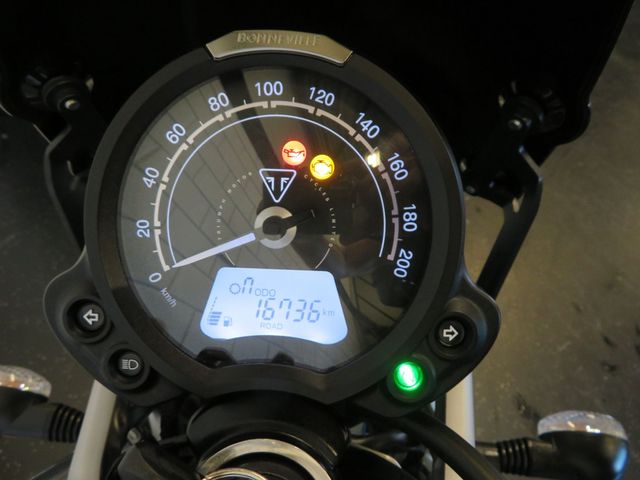 triumph - scrambler-900