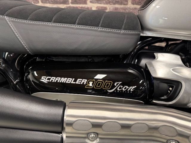 triumph - scrambler-900