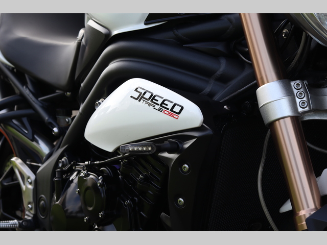 triumph - speed-triple