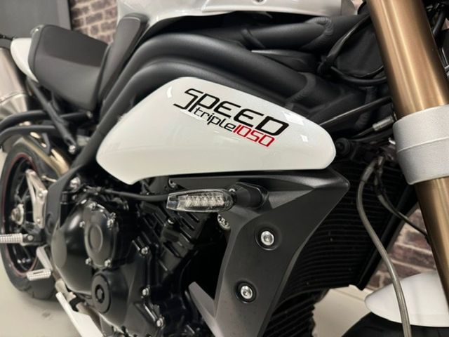 triumph - speed-triple