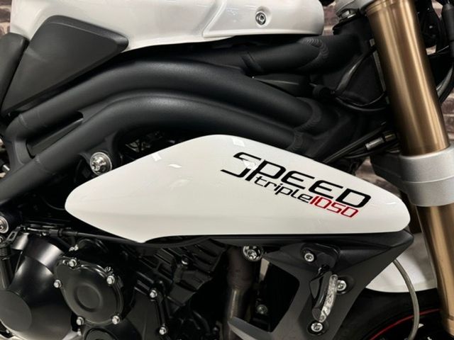 triumph - speed-triple