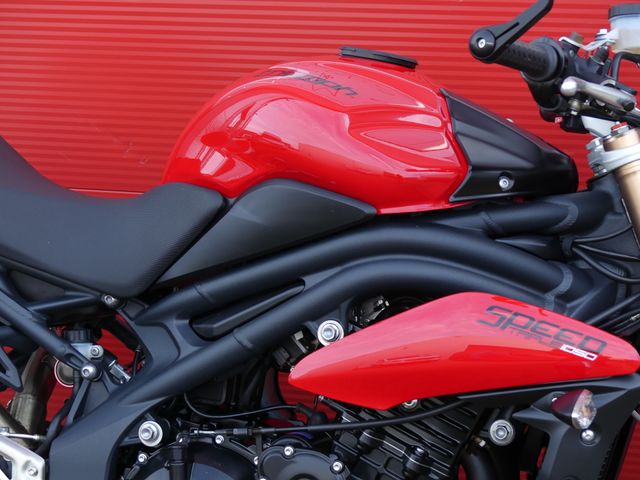 triumph - speed-triple