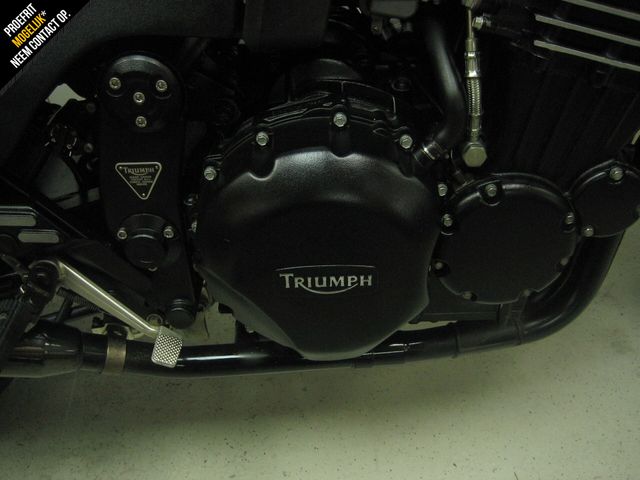 triumph - speed-triple