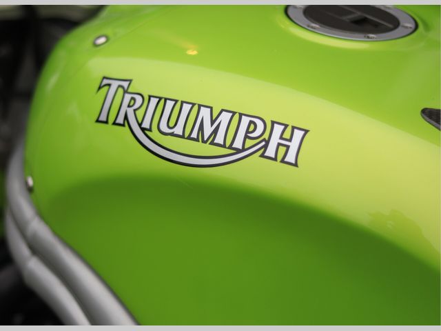 triumph - speed-triple