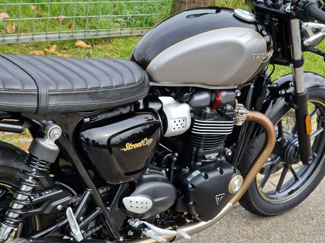 triumph - street-cup