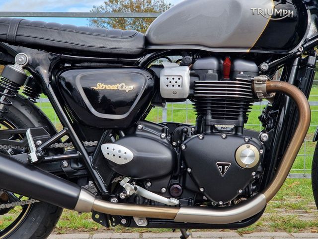 triumph - street-cup