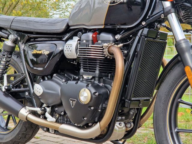 triumph - street-cup