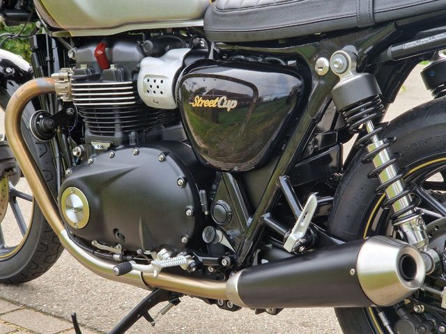 triumph - street-cup