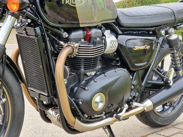 triumph - street-cup