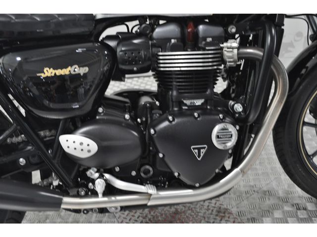 triumph - street-cup