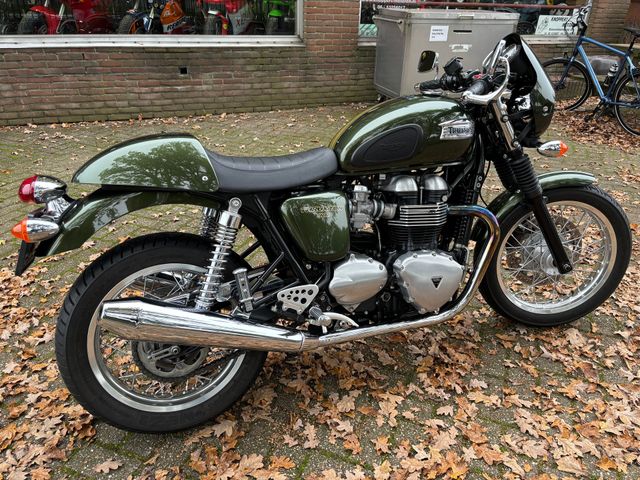 triumph - thruxton-900