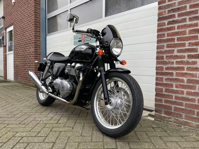 triumph - thruxton-900