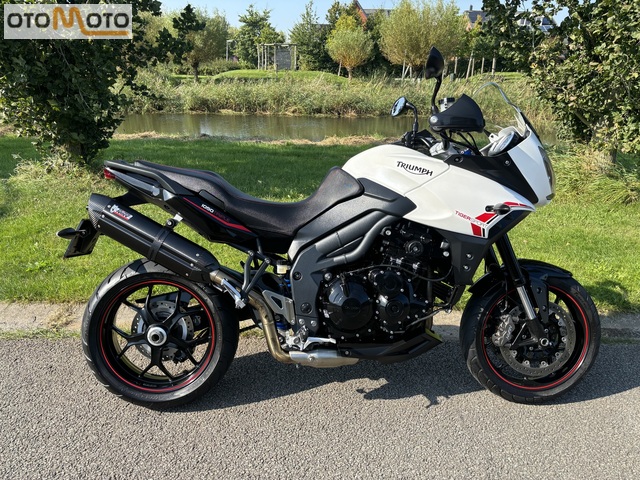 triumph - tiger-1050-sport