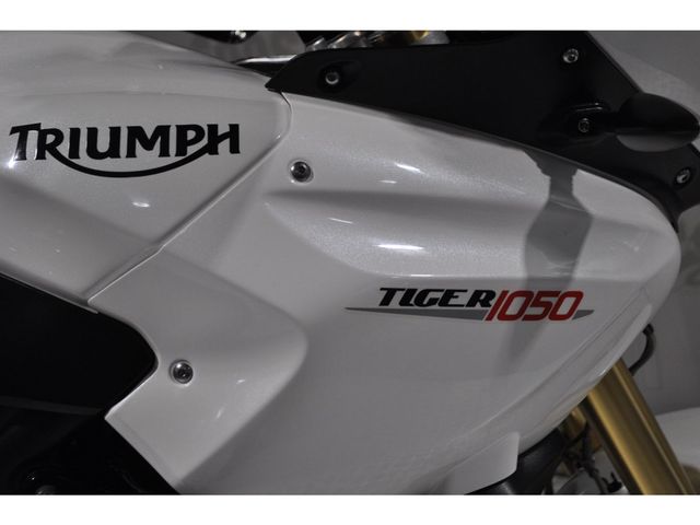 triumph - tiger