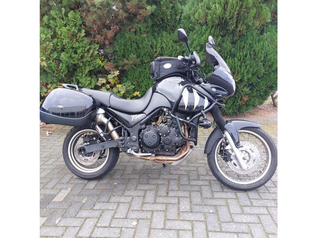 triumph - tiger