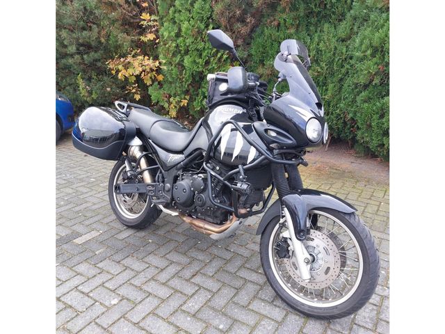 triumph - tiger