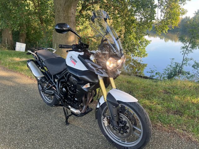 triumph - tiger-800