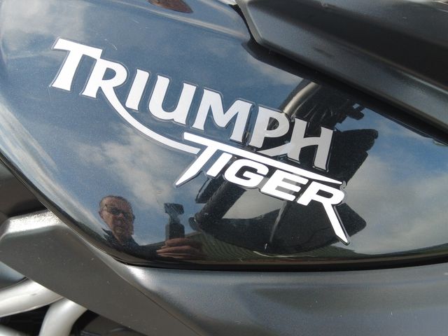 triumph - tiger-800